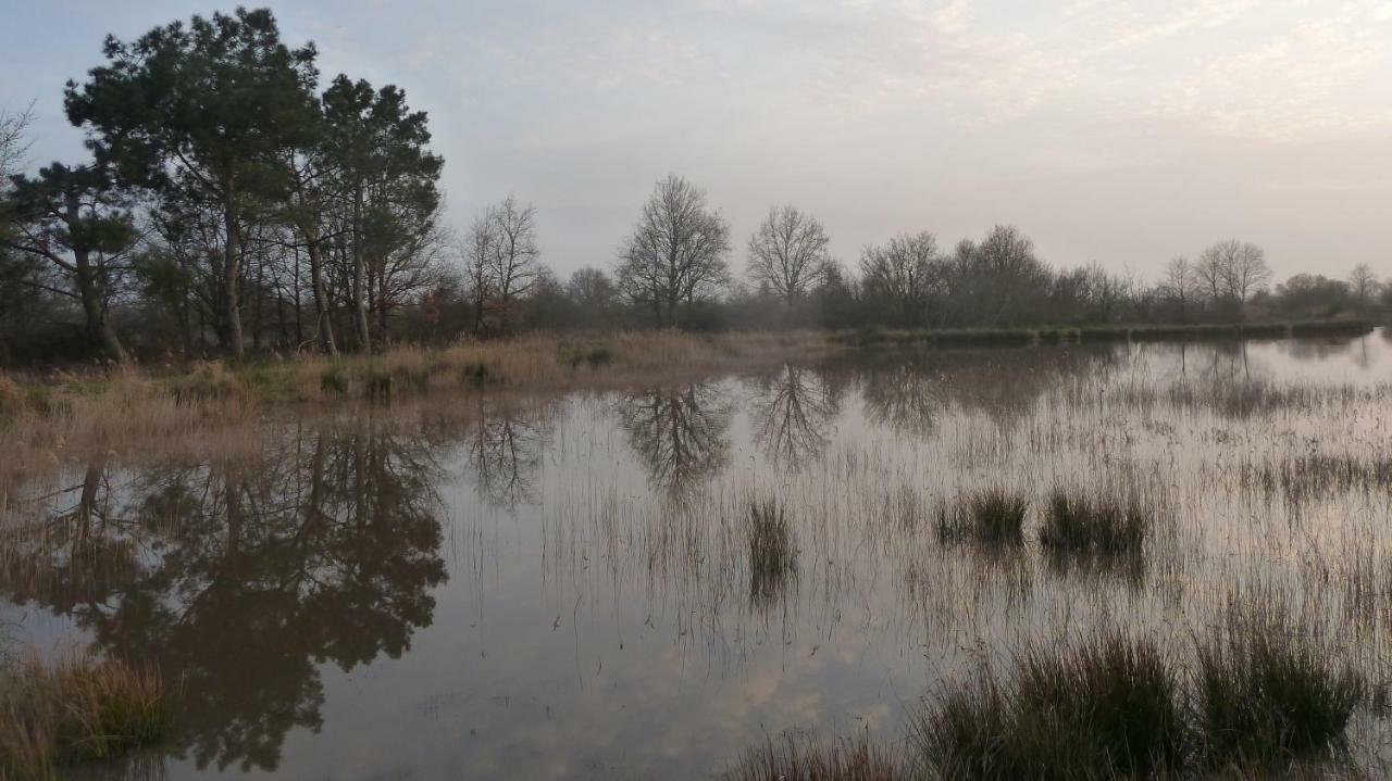 Gite Des Etangs Paulnay Exterior photo